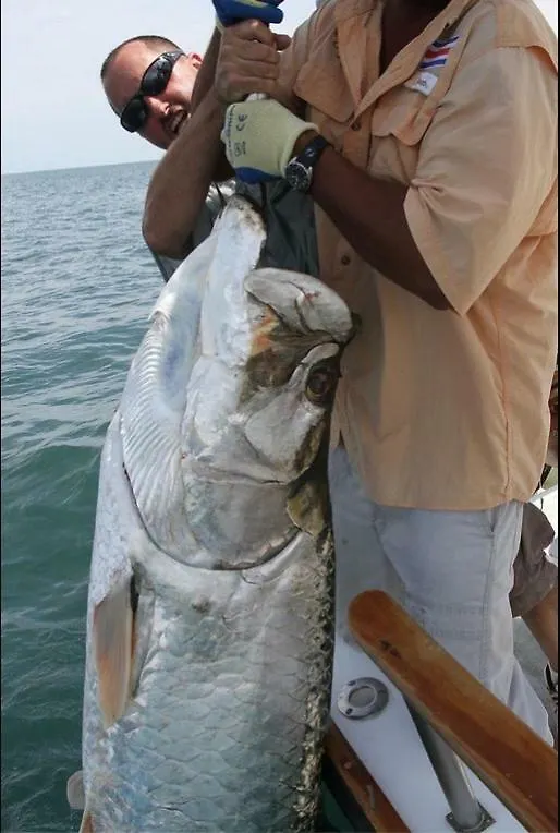 Fish Tobago Hostel Buccoo